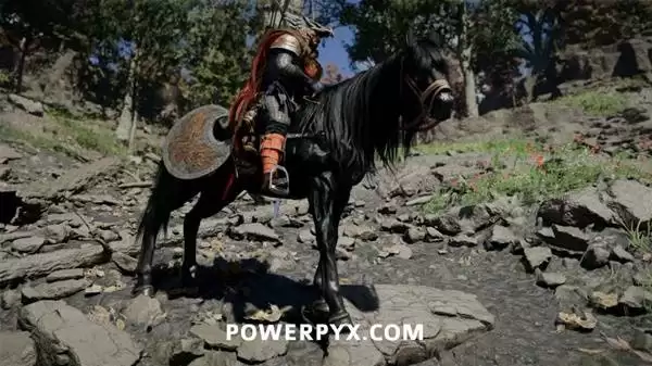 img_6a4f125e1a79432.webp