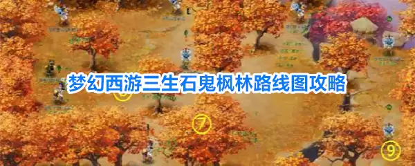 img_6a4f2a817cc9230.webp