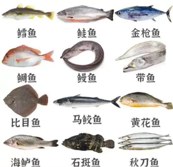 img_6a59cc8c7c4a331.webp