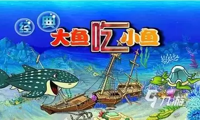 img_6a6415169f33530.webp