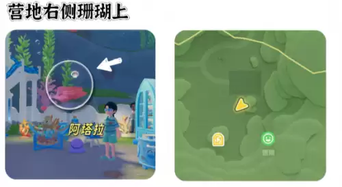 心动小镇寻鲸季小鲸鱼在哪 寻鲸季小鲸鱼点位汇总 心动小镇寻鲸季小鲸鱼在哪 寻鲸季小鲸鱼点位汇总