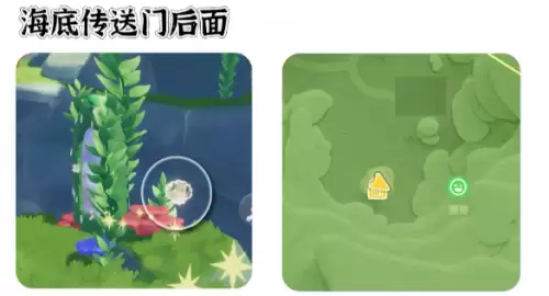 心动小镇寻鲸季小鲸鱼在哪 寻鲸季小鲸鱼点位汇总 心动小镇寻鲸季小鲸鱼在哪 寻鲸季小鲸鱼点位汇总