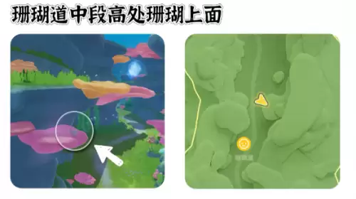 心动小镇寻鲸季小鲸鱼在哪 寻鲸季小鲸鱼点位汇总 心动小镇寻鲸季小鲸鱼在哪 寻鲸季小鲸鱼点位汇总