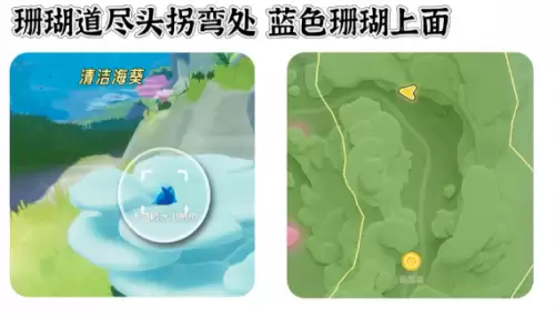 心动小镇寻鲸季小鲸鱼在哪 寻鲸季小鲸鱼点位汇总 心动小镇寻鲸季小鲸鱼在哪 寻鲸季小鲸鱼点位汇总
