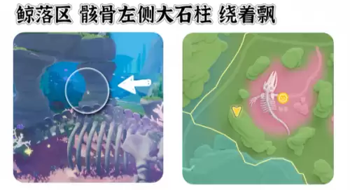 心动小镇寻鲸季小鲸鱼在哪 寻鲸季小鲸鱼点位汇总 心动小镇寻鲸季小鲸鱼在哪 寻鲸季小鲸鱼点位汇总