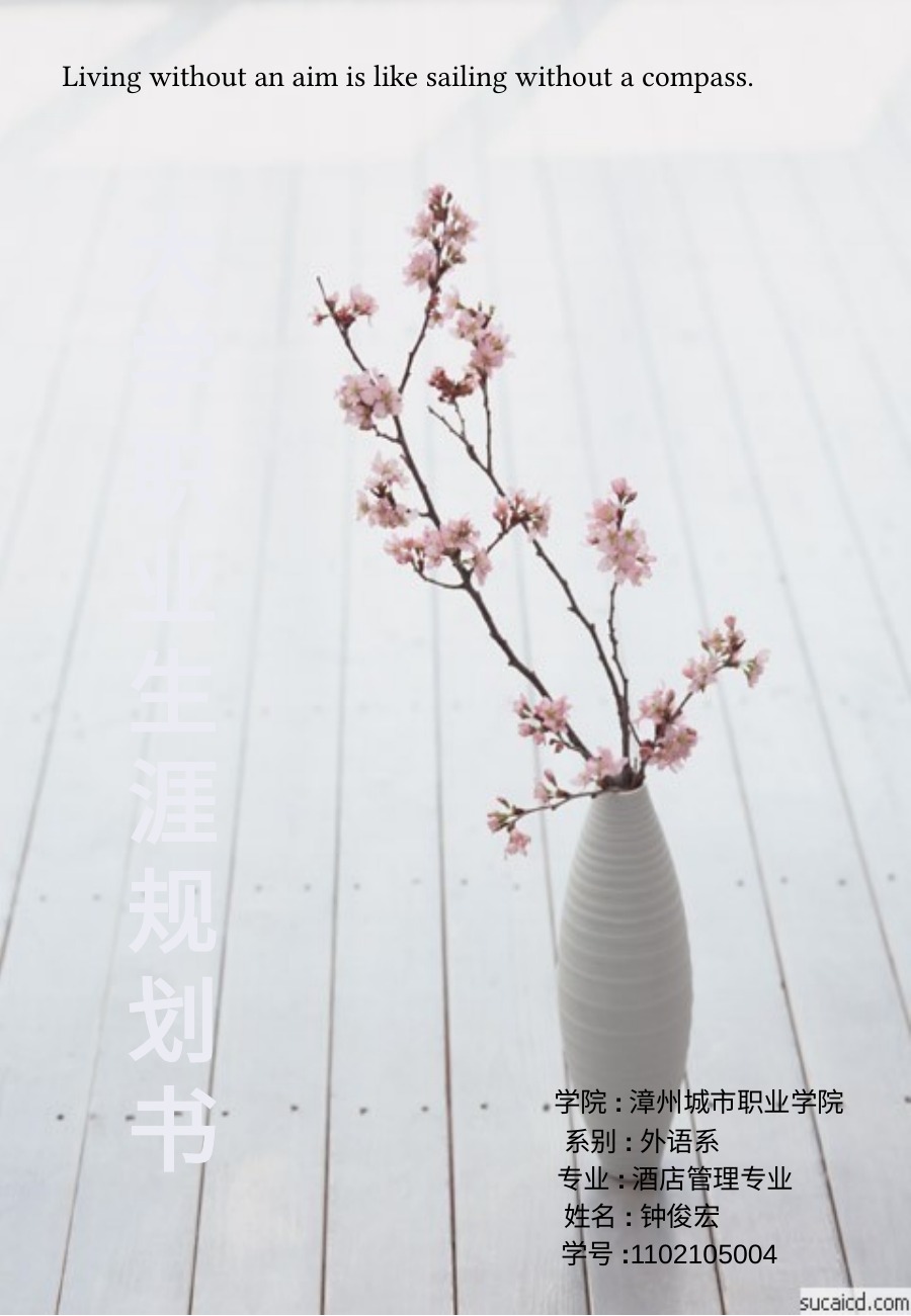 酒店管理简洁规划书PPT模板